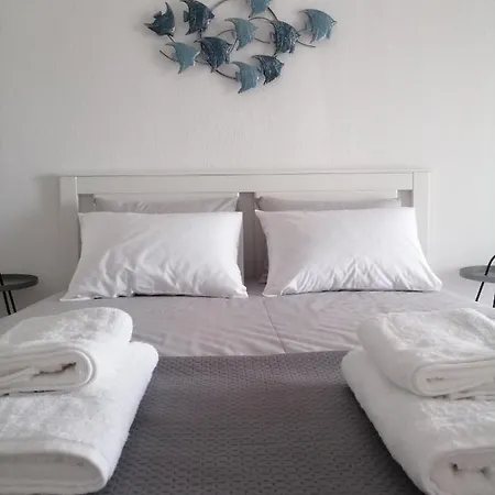 Grammeni's Appartement Neos Marmaras