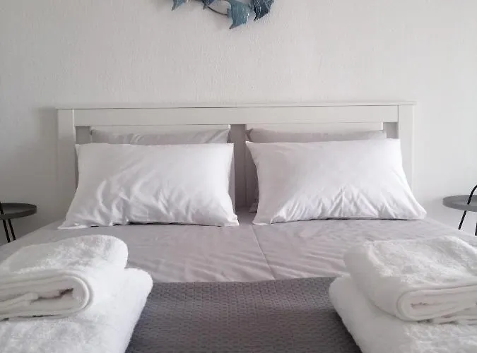 Grammeni's Appartement Neos Marmaras